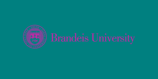 Brandeis University Checks