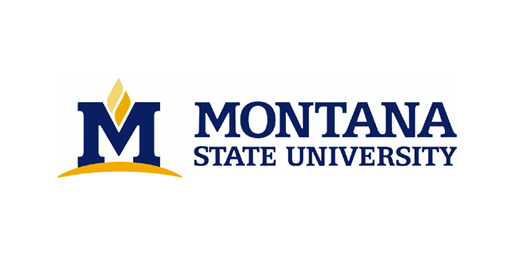 Montana State University Checks